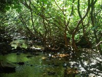 sentier des 3 grottes 3